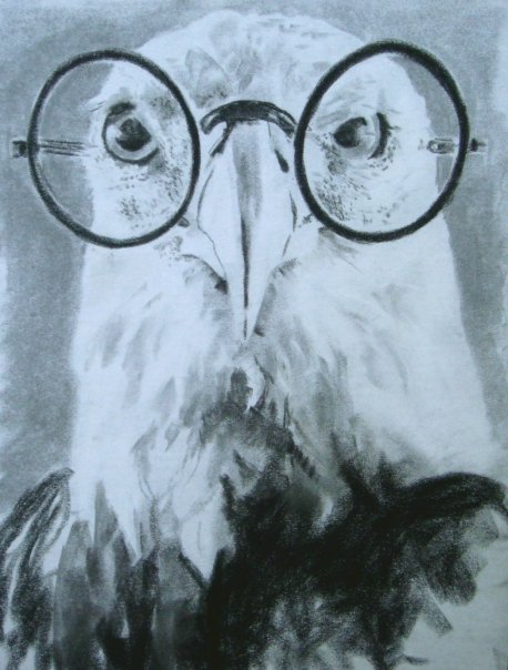 Black and white pastel of bald eagle wearing eyeglasses.